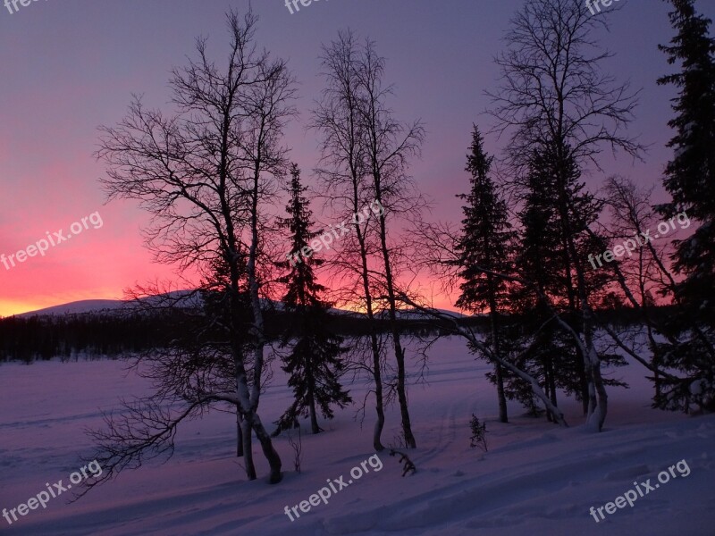 Winter Finland Lapland Snowy Landscape