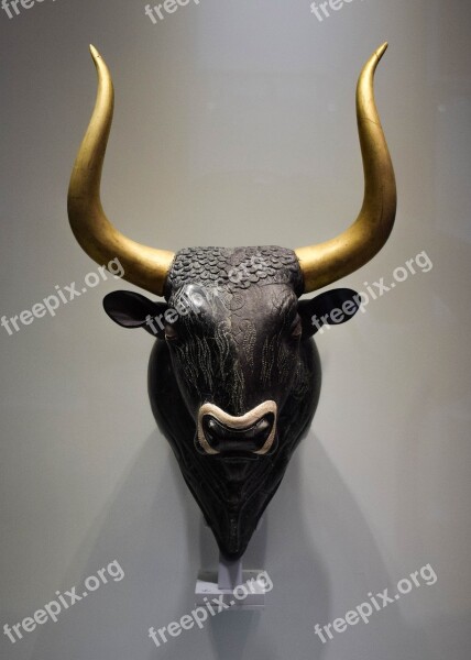 Bull Head Horn Taurus Black