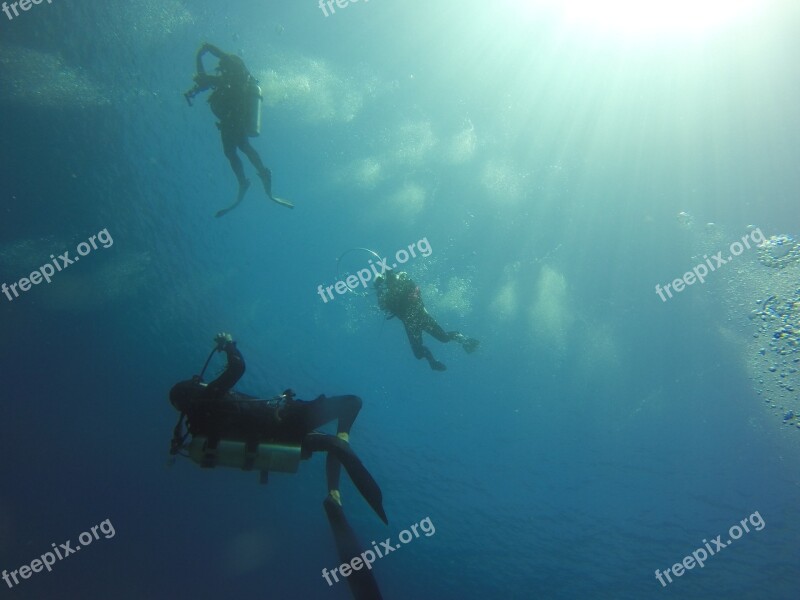 Scuba Diving Diving Ocean Scuba Water