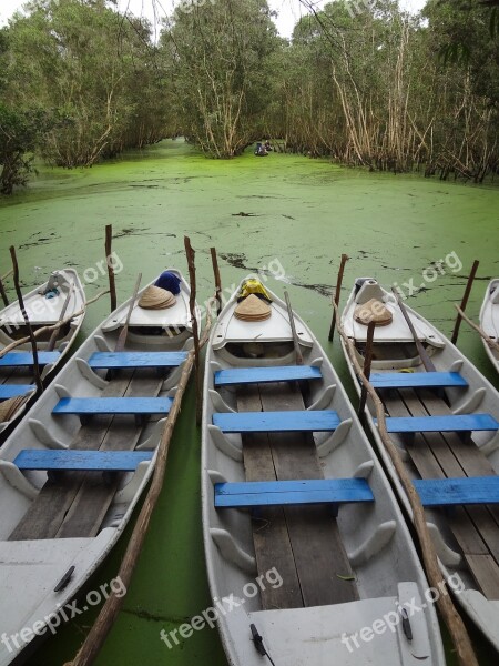 Asia Mangroves Mekong Delta Vietnam Nature