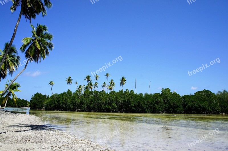 Beach Maldives Island Blue Water