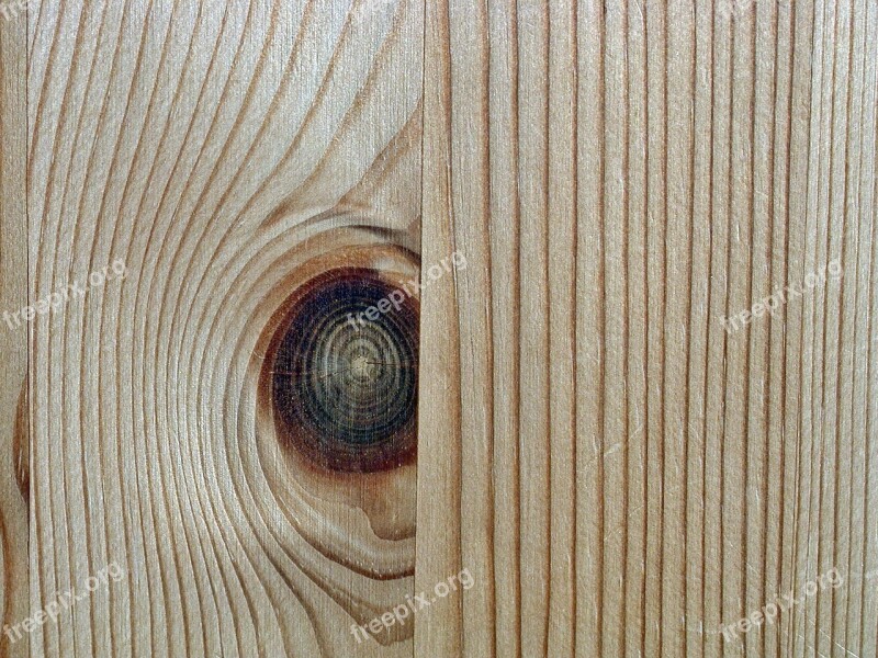 Wood Pine Background Macro Close Up