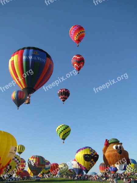 Hot Air Balloon Balloon Sky Fly Float