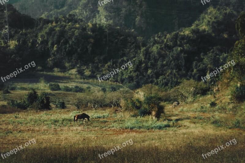 Lanscape Mountain Country Free Photos