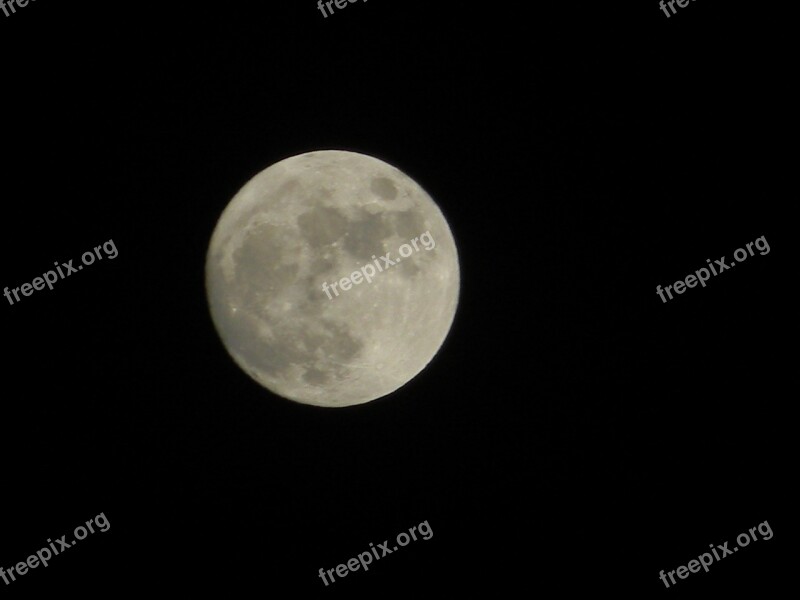 Moon Phases Astronomy Lunar Surface