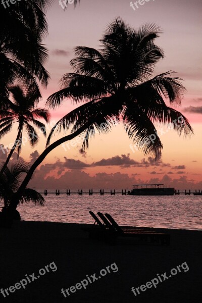 Sunrise Morgenrot Florida Keys Palm In The Dawn Caribbean