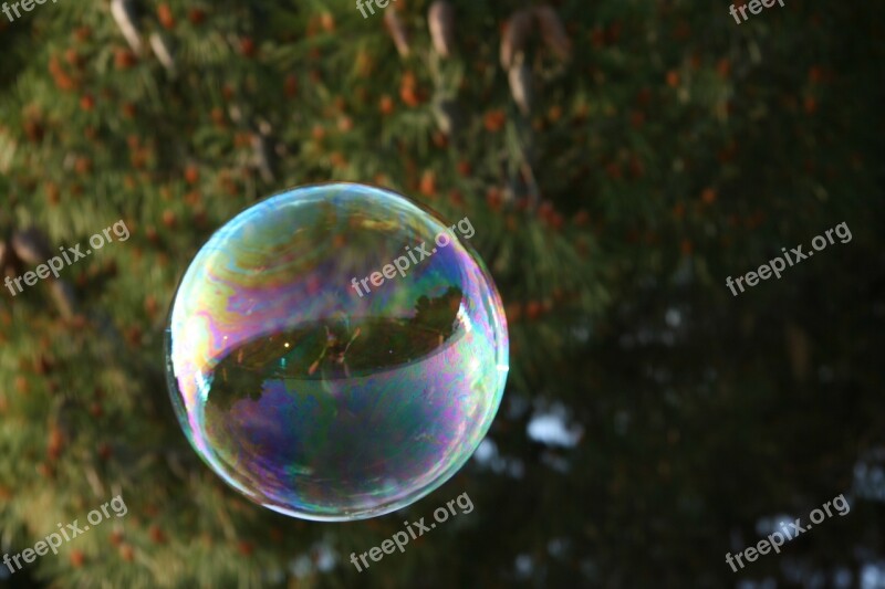 Soap Bubble Soap Bubble Colors Free Photos