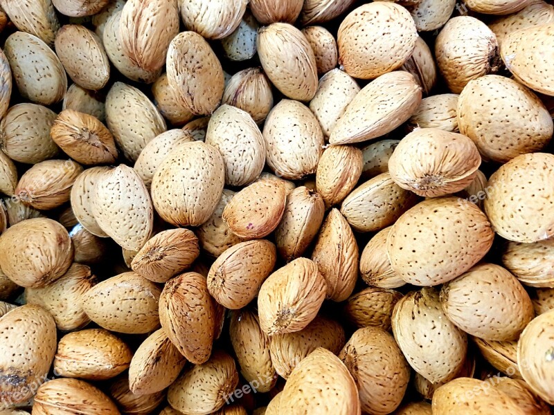 Almonds Sicily Dry Fruit Free Photos