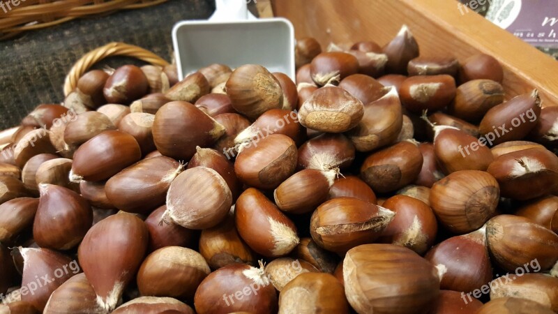 Hazelnut Nuts Hazel Food Healthy