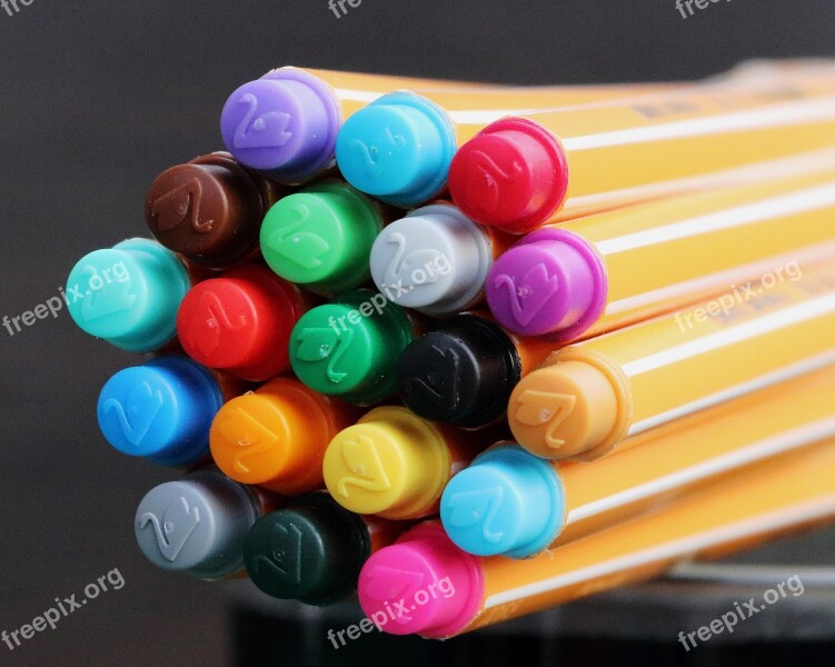 Felt Tip Pens Colorful Color Draw Paint