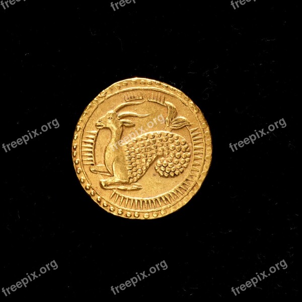 Gold Coin Deer Money Rich