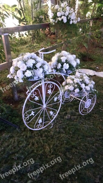 White Flowers Gardening Stand Love It Free Photos