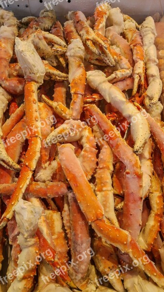 Crustaceans Crab Tongs King Crab Fishing