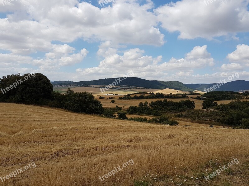 Wheat Fields France Landscape Free Photos