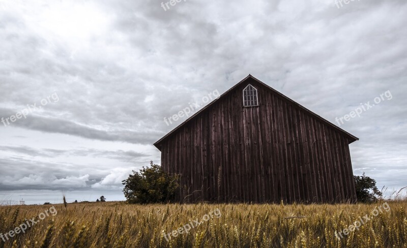 Barn Oland Canola Farm Summer