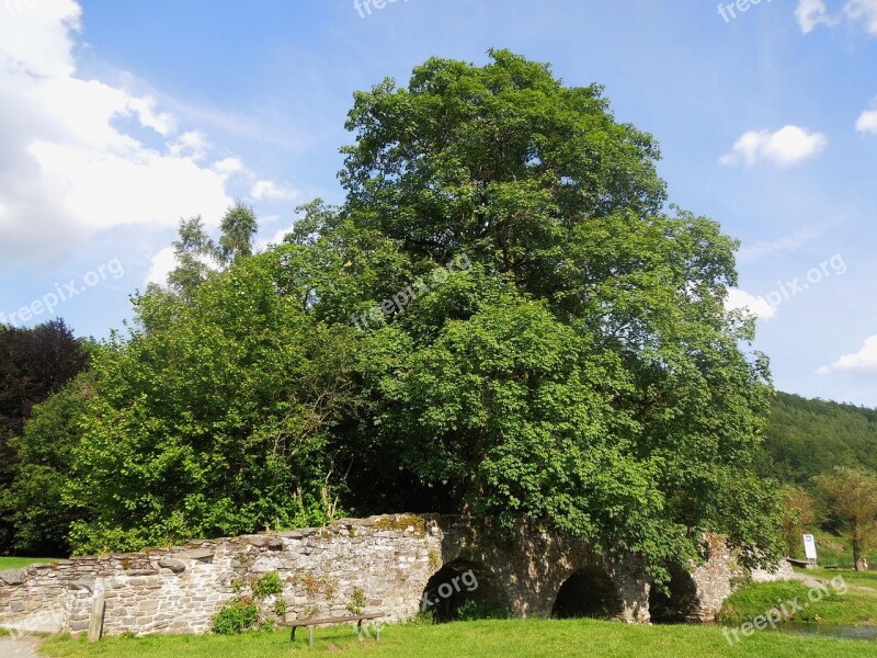 Bridge Tree Summer Blue Sky Landscape