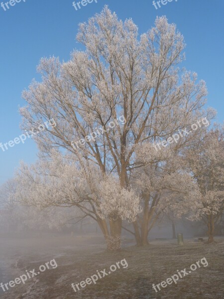 Winter Frost Wintry Winter Magic Frozen