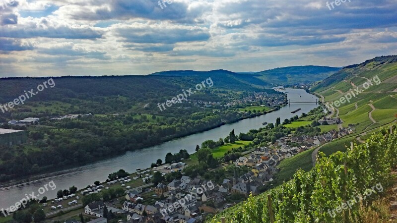 Graach Sheep Farm Mosel Sachsen Germany