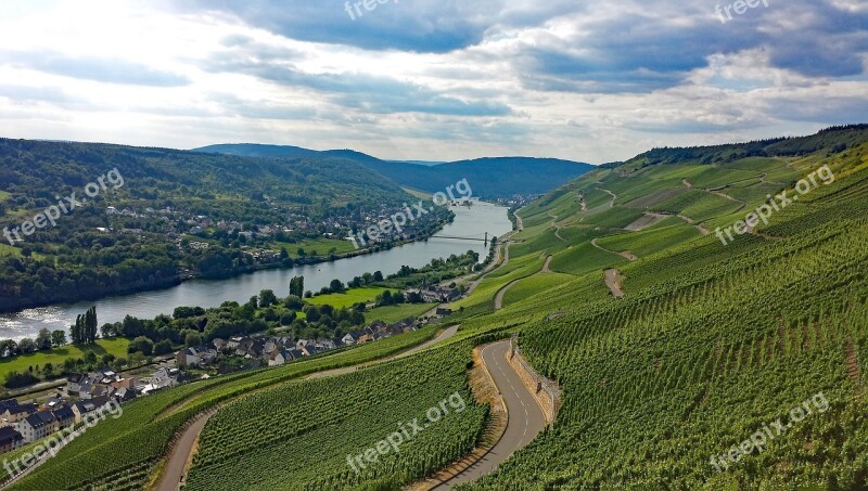 Graach Sheep Farm Mosel Sachsen Germany