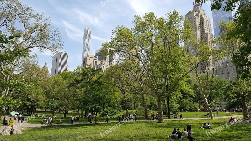 New York View Central Park Manhattan Skyscraper