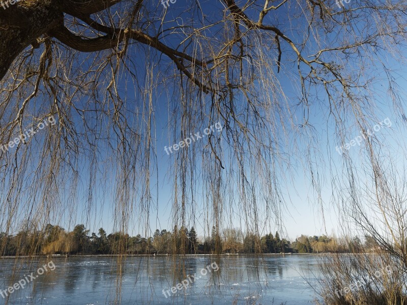 Frozen Lake Mix Lake Winters Nature