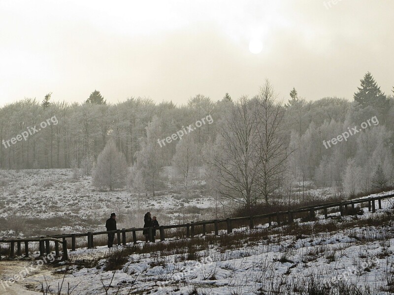 Trap Forest Winter Snowy Fog