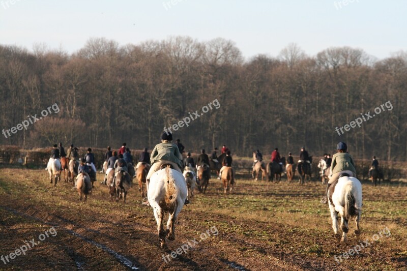 Hunting Equestrian Gallop Riding Equine