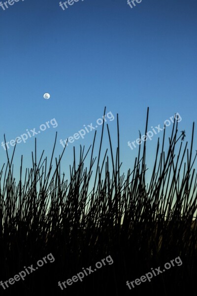 Moon Landscape Sky Sunset Afternoon