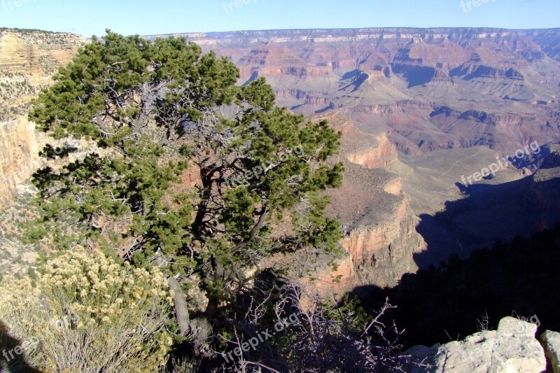 Usa The Grand Canyon Grand Canyon Landscape Nature