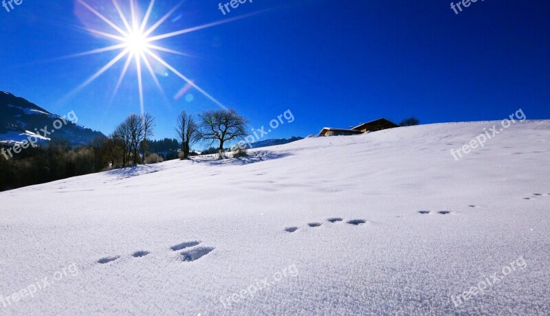 Schee Mountains Sun Free Photos