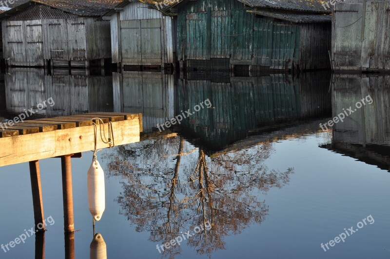 Pier Water Nature Pond Wild