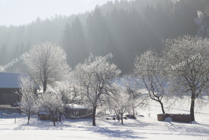 Nature Winter Snow Country Life Landscape