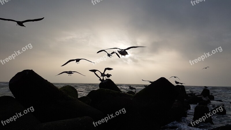 Sylt North Sea Vacations Island Sea