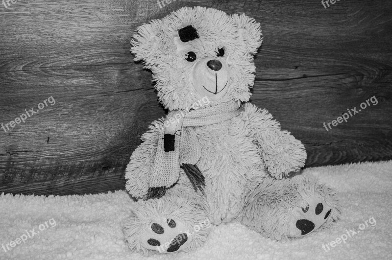 Bear Teddy Cute Toy Childhood