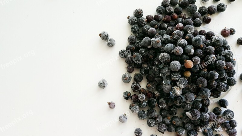 Berry Currant Nutrition Healthy Sweet