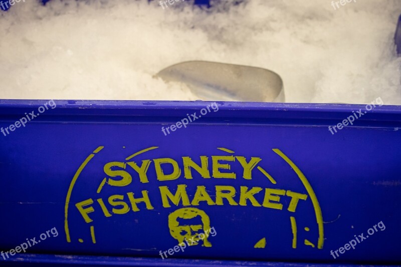 Sydney Fish Market Ice Tub Bucket