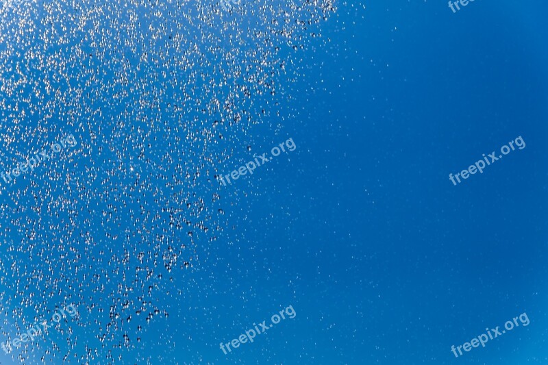 Blue Background Drops Of Water Rain Blue The Background