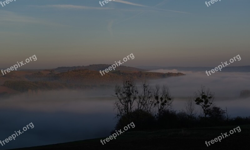 Landscape Fog Nature Forest Trees