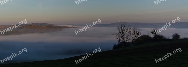 Landscape Fog Nature Forest Trees