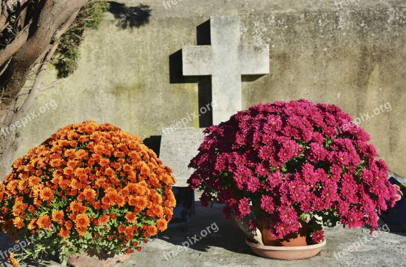 Toussaint Cemetery Cross Tomb Mums