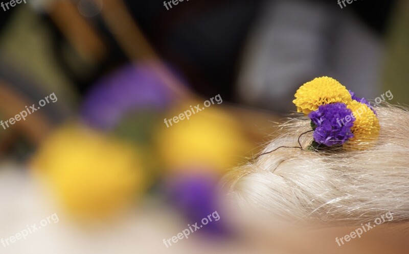 Color Colors Flowers Braid Hair