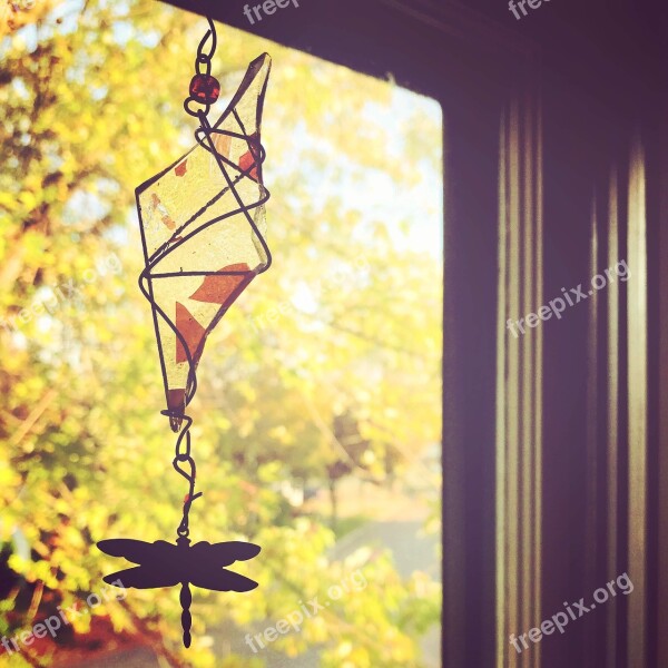 Window Autumn Fall Dragonfly Sunshine