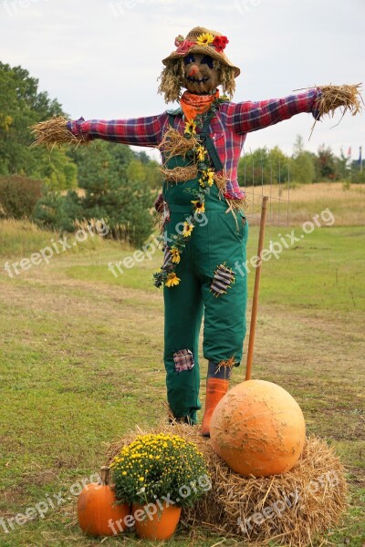 Pumpkin Orange Large Autumn Halloween