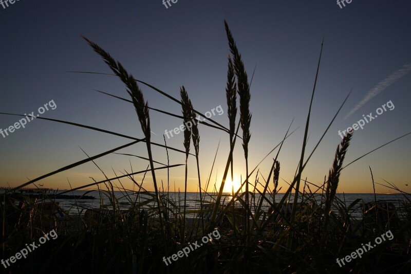 Sunrise Marram Grass Sun Summer Beach