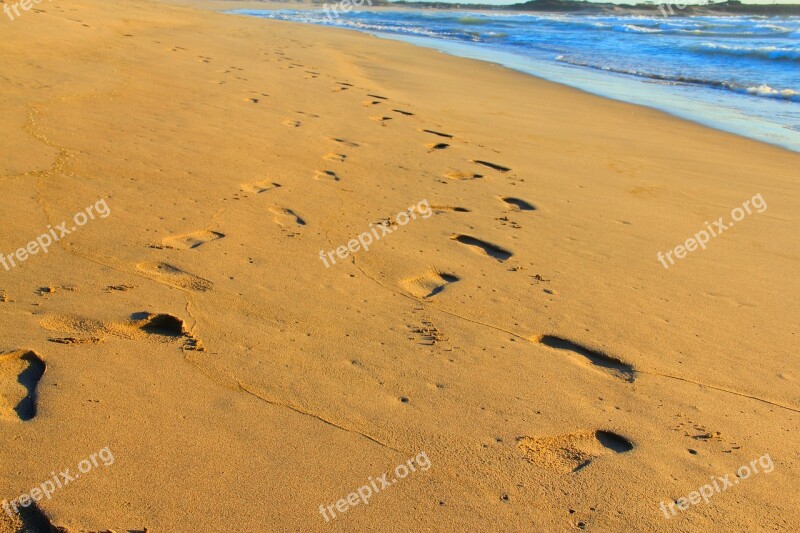 Treads In The Sand Chalacatepec Jalisco Sand