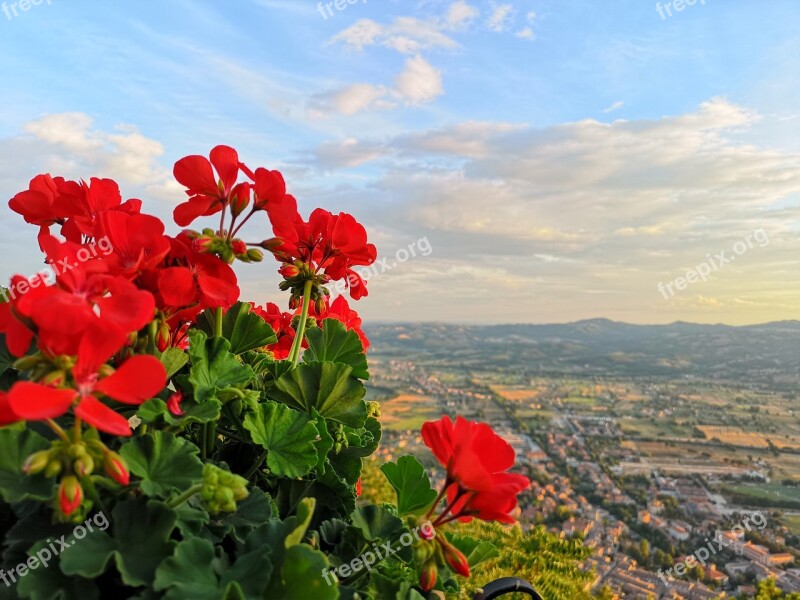 Gubbio Geranium Landscape Red Flowers