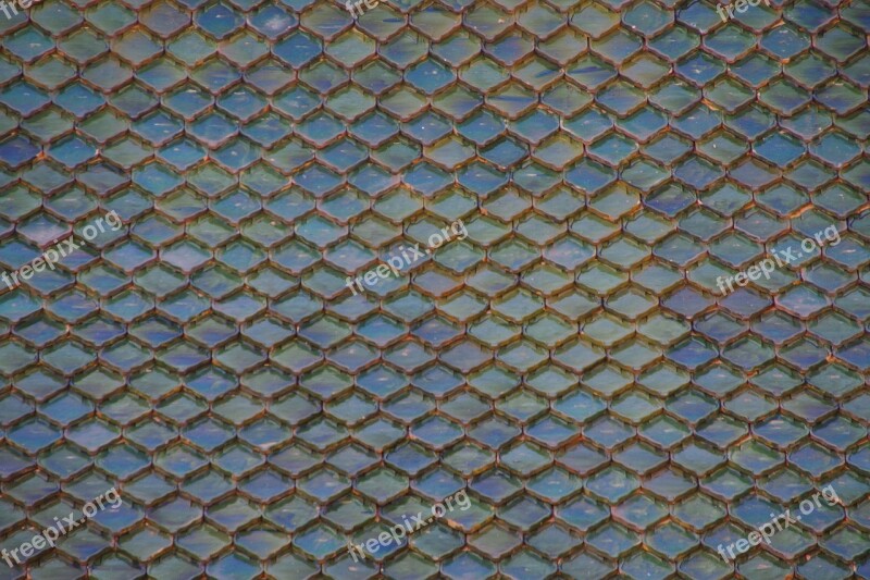 Roof Tenerife Loropark Green Symmetry