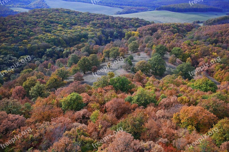 Landscape Autumn Autumn Landscape Color Autumn Colors