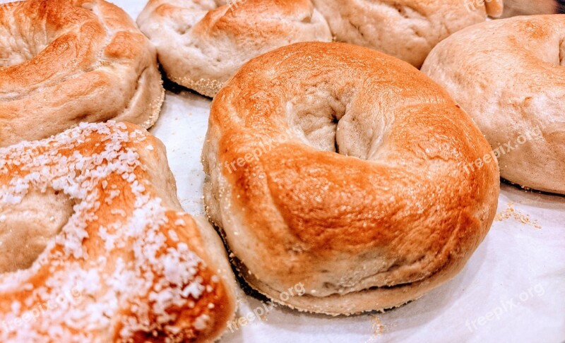 Bagels Plain Bagel Salt Bagel Handmade Bagels Craft Bagels