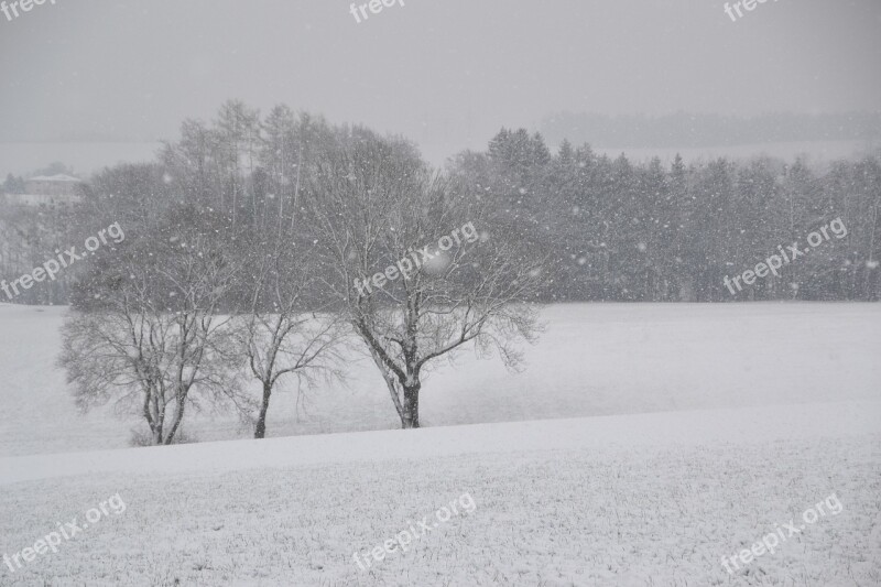 Winter Nature Snow Landscape Wintry